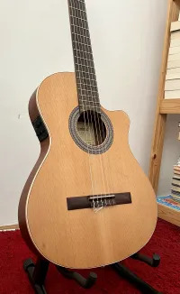 Alhambra Nature CT EZ Electro Acoustic klassische Gitarre - Laura04 [Today, 9:11 am]