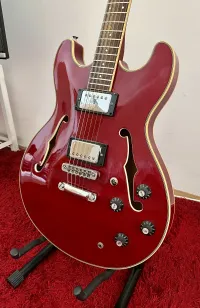 Aria Pro II Es-335 Jazzgitarre - Laura04 [Today, 9:13 am]