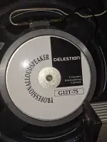 Celestion G12 T-75