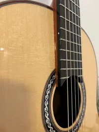 Cordoba C12 Lattice bracing Klasszikus gitár