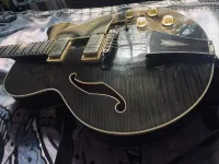 Ibanez AF95-TK-12-01 Jazzová gitara - cimbi [Today, 9:12 am]