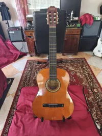 Suzuki SG 3B Akustikgitarre - Hajnal [Today, 10:28 am]
