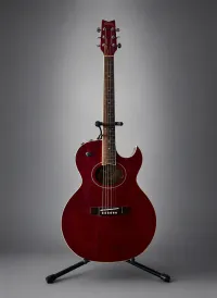 Washburn EA17