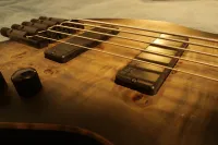Cort Space 5