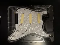 EMG DG20