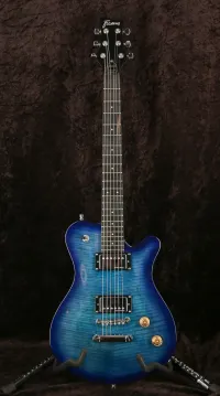 Framus Panthera Supreme