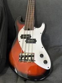Kala U bass solid body fretless
