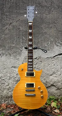 LTD EC-256 Elektrická gitara - Hurtu [Today, 6:35 pm]