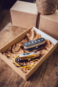 Nokkel 60 Telecaster szett