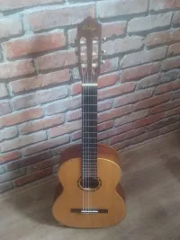 Ortega R133