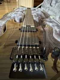 Schecter C-1 FR SLS Elite BFB Electric guitar