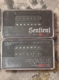 Seymour Duncan Pegasus és Sentient Pickup - Takács Bálint [Today, 10:14 pm]