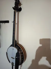 Vangoa  Banjo - arpad65 [Yesterday, 7:18 pm]