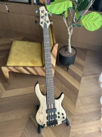 Cort A5 ULTRA ASH ENB