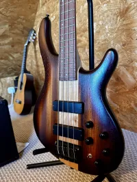 Cort C4 Plus ZBMH