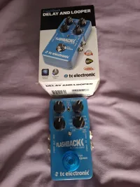 Electro Harmonix Flashback  and looper Delay - Anna Szabo [Today, 3:27 pm]