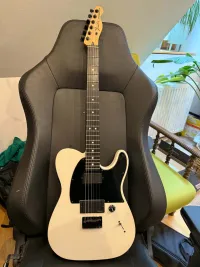 Fender Jim Root Telecaster