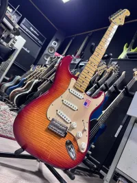 Fender Stratocaster Std Plus