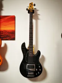 Ibanez ATK200
