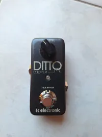 TC Electronic Ditto Loop station - Akartacs [Today, 2:19 pm]
