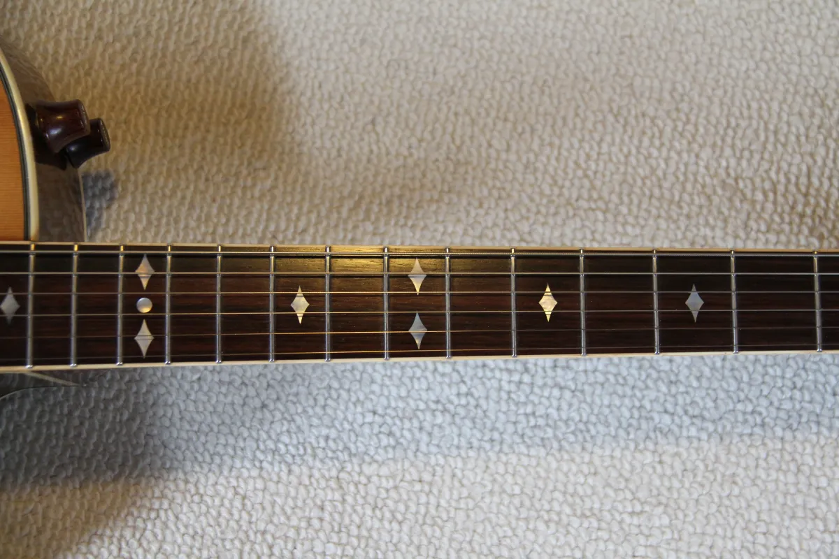 ARIA Elecord AE-90 Jazzgitár Eladó - Szentendre, Magyarország
