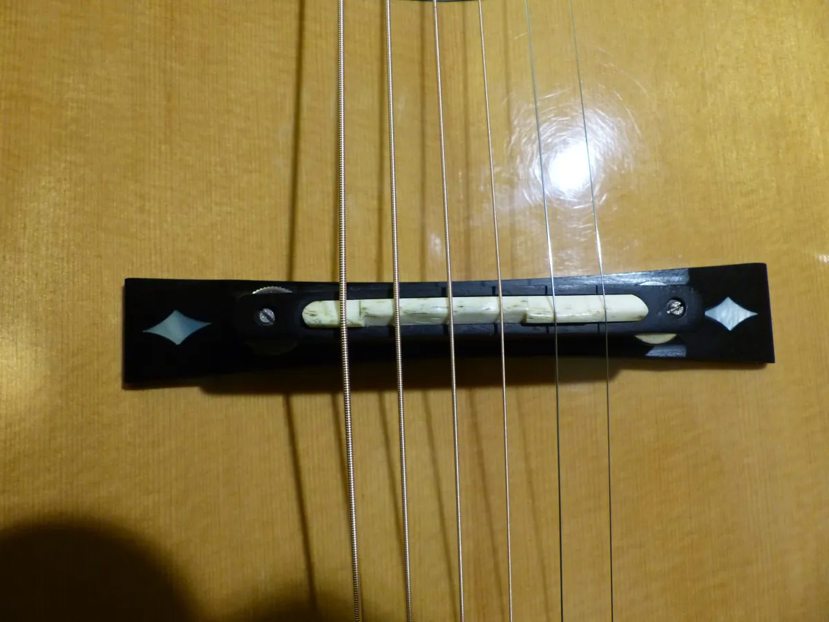 ARIA Elecord AE-90 Jazzgitár Eladó - Szentendre, Magyarország