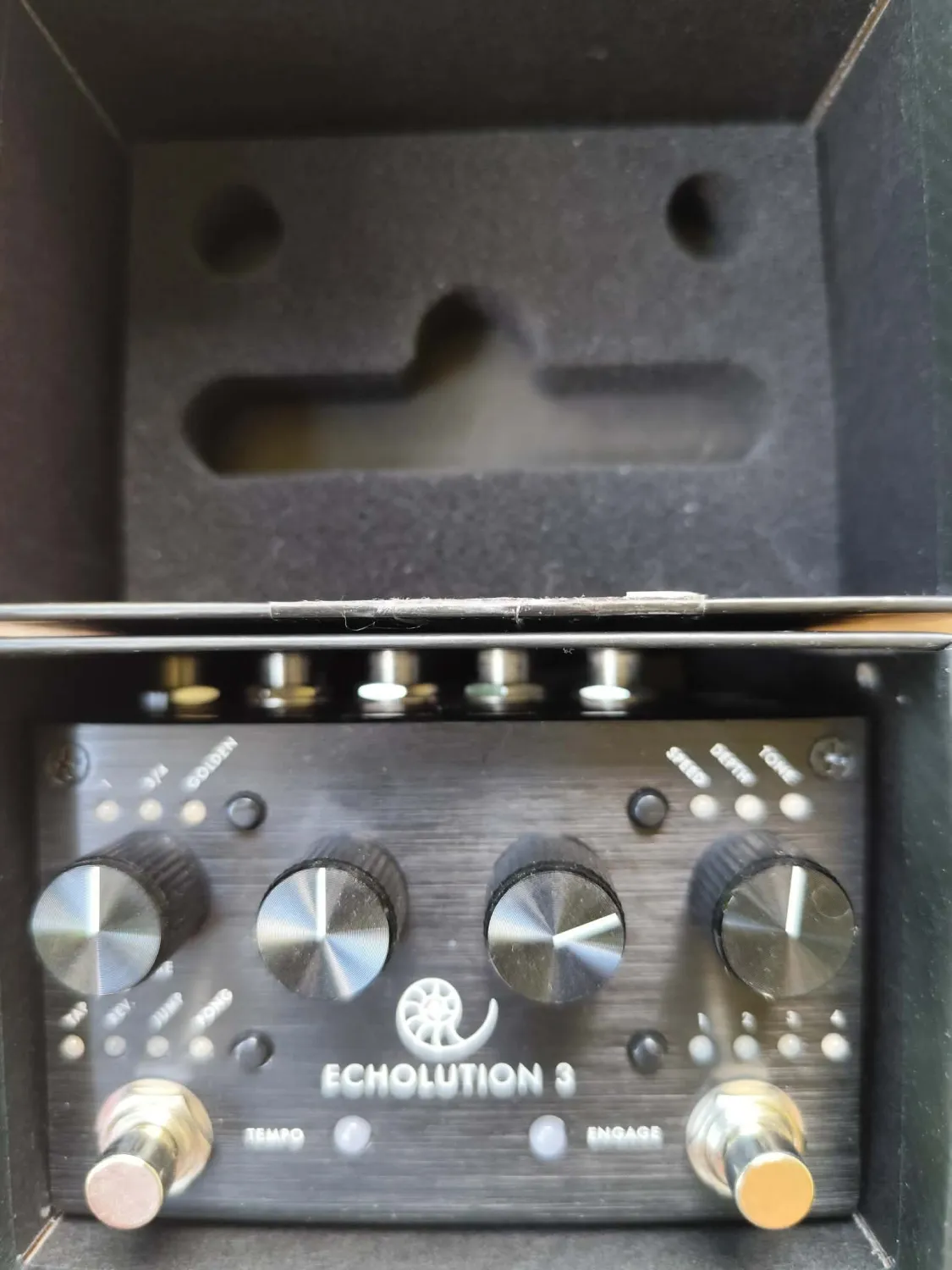 Pigtronix Echolution 3 Verzögerung