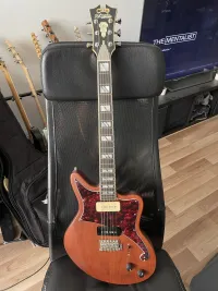 DAngelico Deluxe Bedford