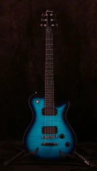 Framus Panthera Supreme Elektrická gitara - Vintage52 Hangszerbolt és szerviz [Today, 3:38 pm]