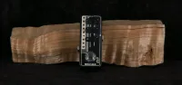 Mooer 012 US Gold 100
