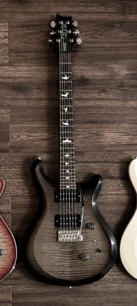 Paul Reed Smith S2 Custom USA Elektro-Akkustik Guitarre - Sharkpeti [Today, 3:52 pm]
