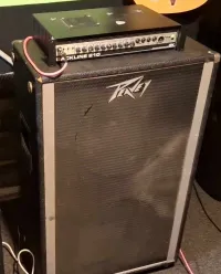 Peavey Enclosure 215 Basszus láda
