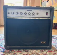 Soundking AK 30 A  40W