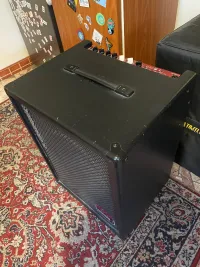TC Electronic TC BG-250 1-15 Bassgitarre Combo - Acsády Soma [Today, 10:00 am]