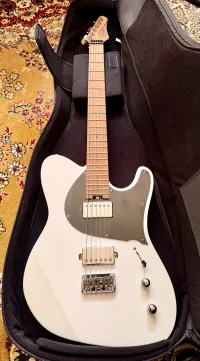 Balaguer Thicket Standard HH Elektromos gitár