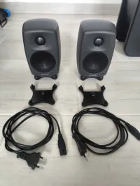Genelec 8010 + Z8010-408