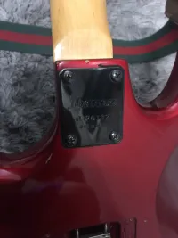 Ibanez Ex360