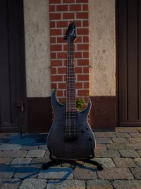 Ibanez RGA742FM-TGF