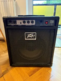 Peavey Max 110 Bass