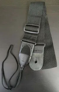 Planet Waves PWSPA200