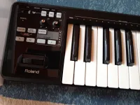 Roland A-49 MIDI Keyboard - Ilia Krisztián [August 5, 2026, 9:24 pm]