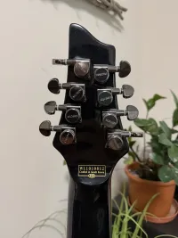 Schecter Hellraiser C-8