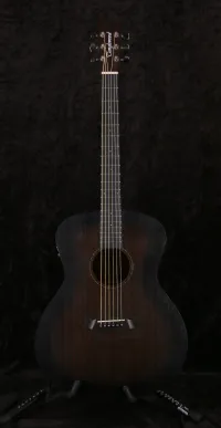 Tanglewood TWCR OE