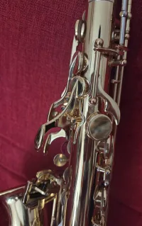 YAMAHA YAS-875 EX Custom