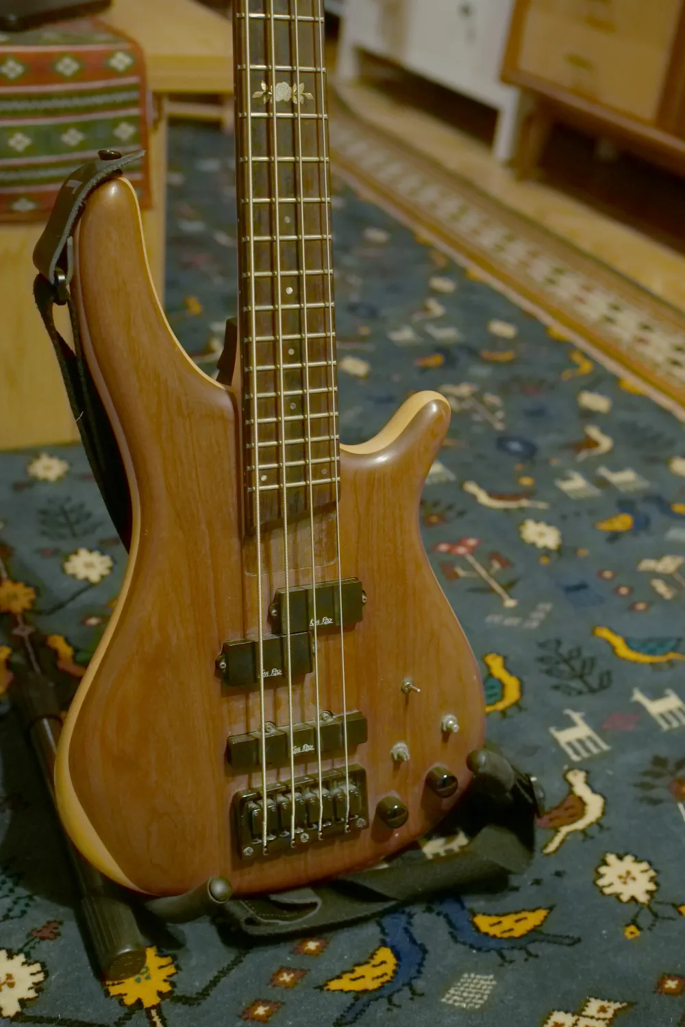 Ken Rose  Bass guitar