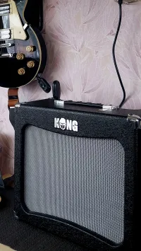 - Kong Chimp Thirty Guitar combo amp - Tiborr55 [Today, 9:28 am]