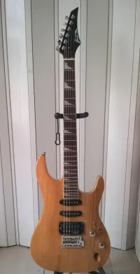 Invasion EG930NAT Electric guitar - Mátyus Sándor Csaba [Today, 8:44 pm]