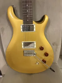 PRS SE DGT