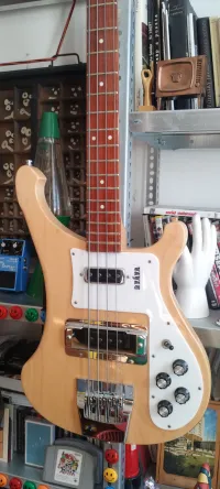 Rickenbacker 4003S