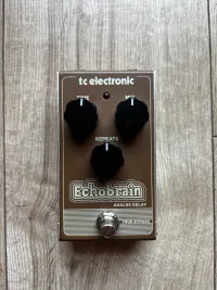 TC Electronic Echobrain Analog Delay - davidbrcz [Yesterday, 1:30 pm]